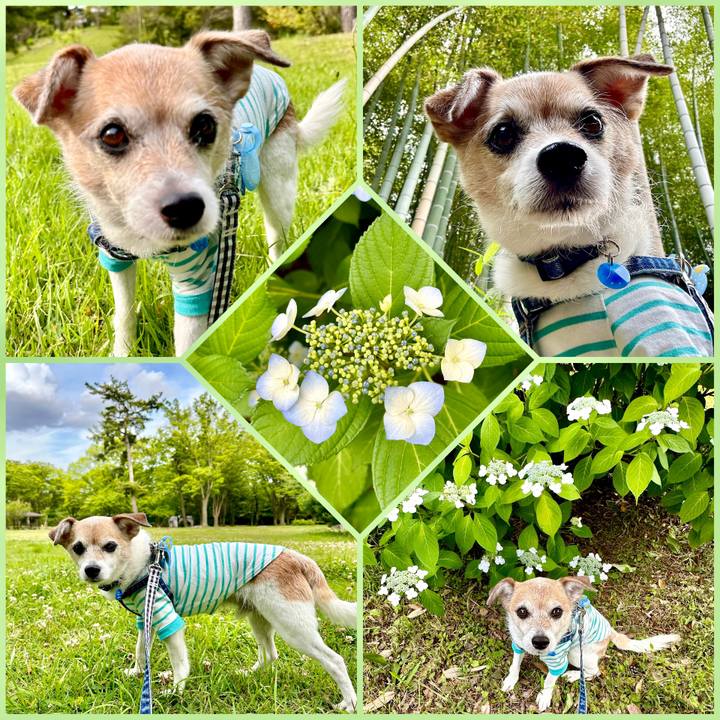 7ec83b03 2068 438b 941a d992f12fcb6a 1685059205130