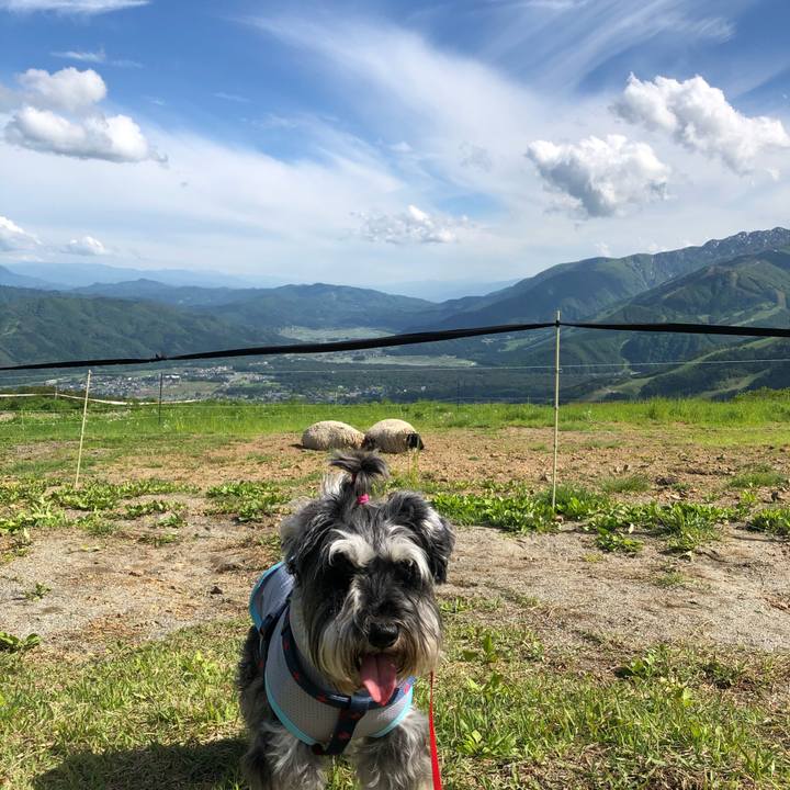 7ec8490b fc26 421a 9a40 8293ebd19d62 1622951201193