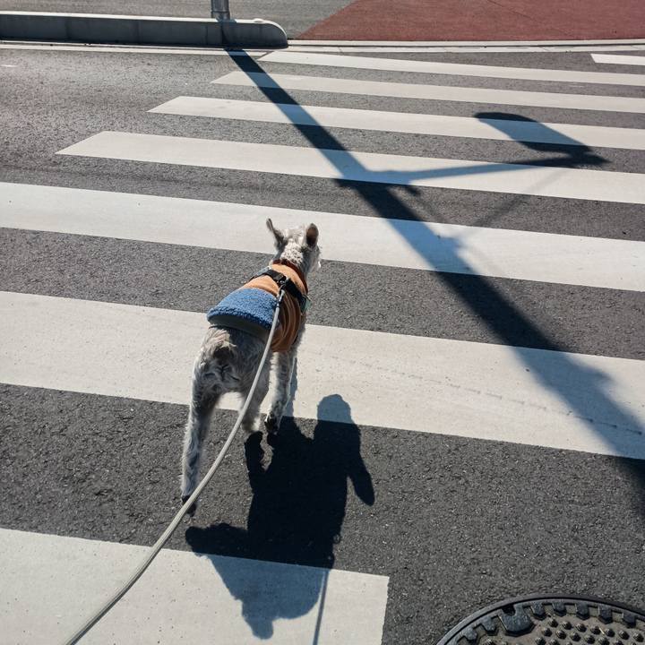 7ec84b43 a409 4f2b 8a39 fd8a0405f0f5 1771419420256