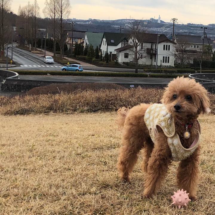 7ec85276 1980 458e b6a6 c4e83365310e 1579096222652