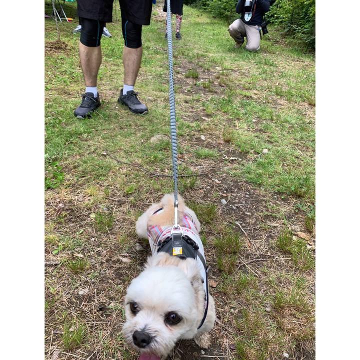 7ec87325 4e59 494e bd19 dbebdefb6ce7 1560691472391