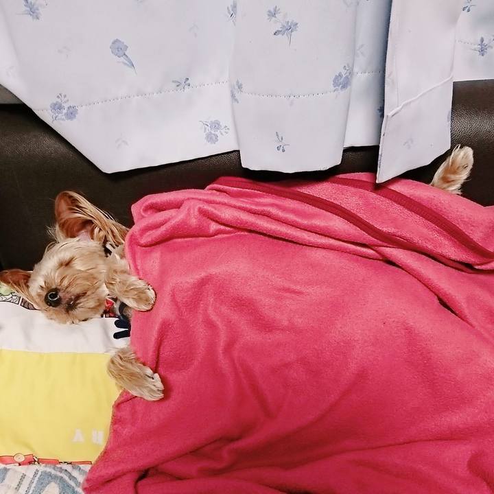 7ec89679 3424 444b 998a 4d9d193c53bc 1529239942972