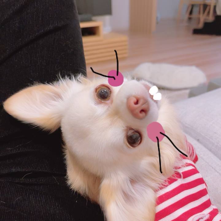 7ec899af 4dff 4728 93a8 f4d61a261bee 1703506032835