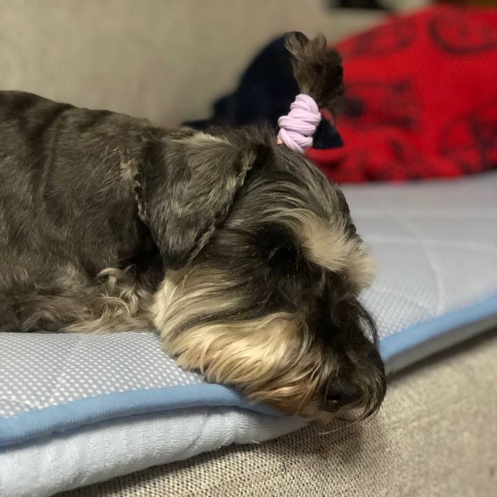 7ec89d17 c061 4c83 989e 09e7befe54d0 1595162524275