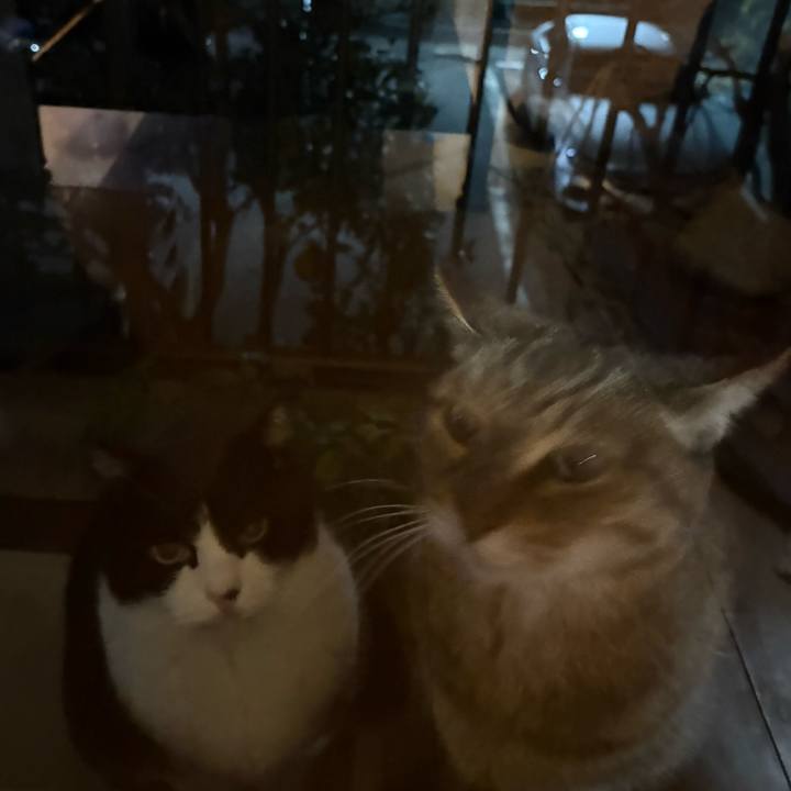 7ec8d351 f36e 44da b7da 44f321e163d6 1765276317509