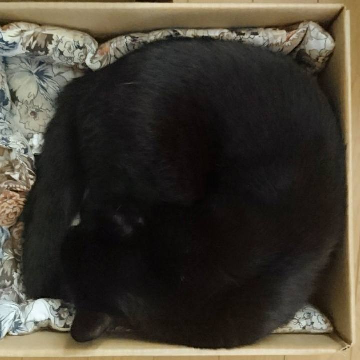 7ec8e73c ae0b 4eb5 ae02 5041772e8608 1623735387362