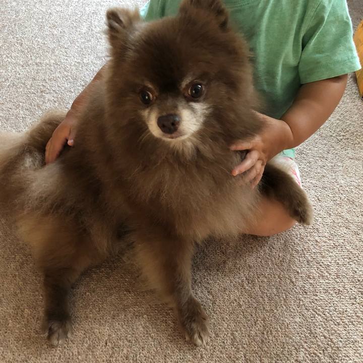 7ec8f3eb c6c1 4f54 bee5 c577d065ba66 1594865826013