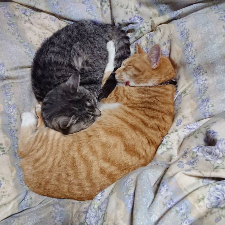 7ec93d21 fbfc 47a3 8e86 b17a89b12711 1576241469839