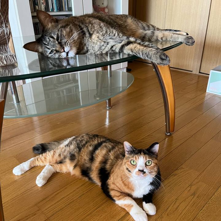 7ec97f7e 07cb 46d6 8a06 a352ab2d3521 1656826031361