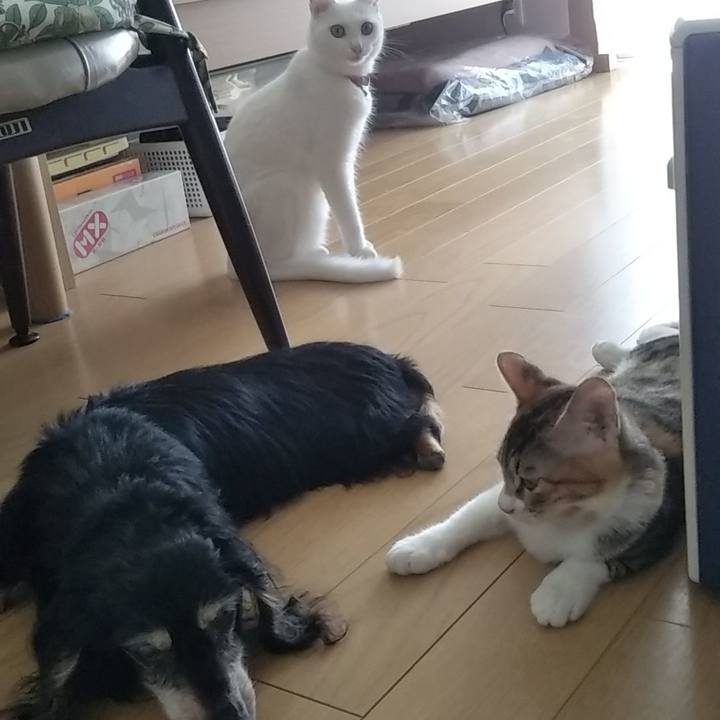 7ec9916b 3bb1 433d a731 bb8083388968 1630290250621