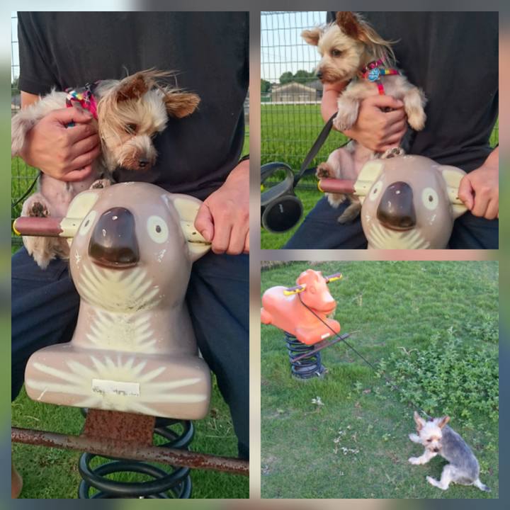 7ec9aa1e 1b35 410a 97e9 616b25c53026 1507638316467