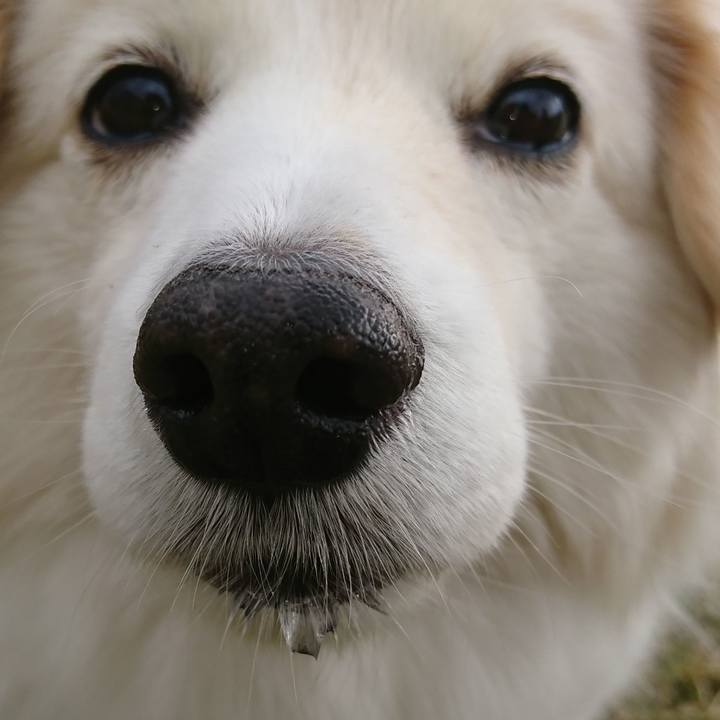 7ec9d2e2 16d6 4a05 90d3 8c50182a67bf 1523430504856