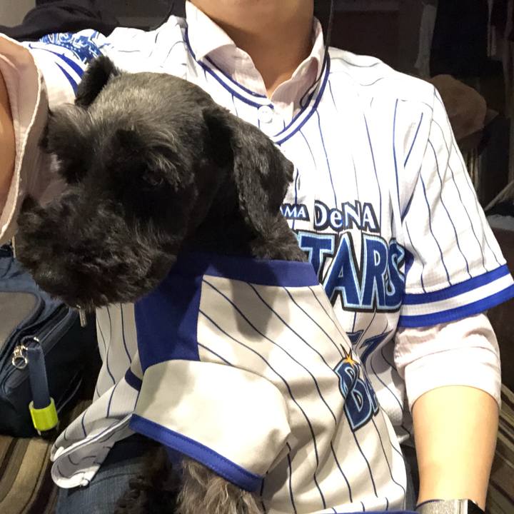 7ec9f897 39d3 42f3 ad0c 0803b3873a76 1522841765298