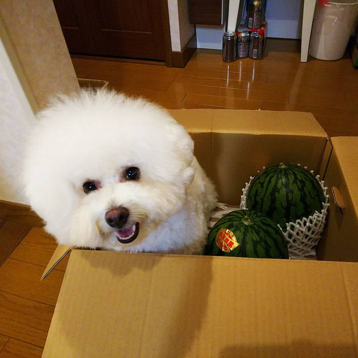 7ec9fc89 8bda 4ab1 a947 088cf60894b1 1561549305348