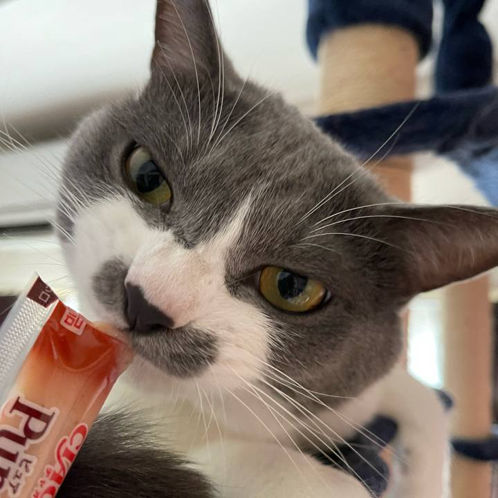 7ec9fdf2 ec4f 41ad 81ab 87b021de7374 1661579720770