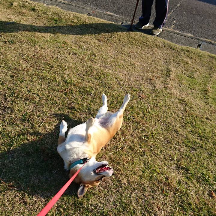 7ecaac4c 11ba 4bf2 9f92 1274837fb9ed 1605424940132