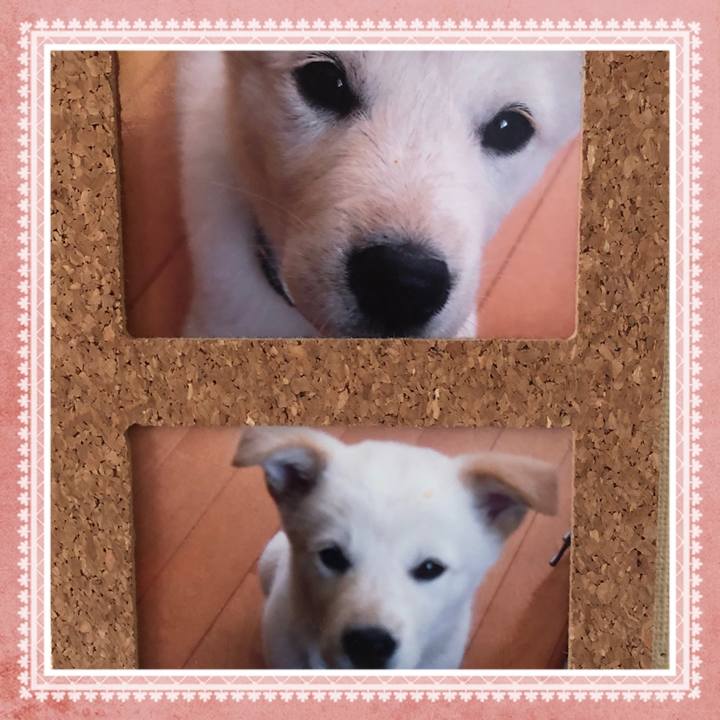 7ecabfde 7ccb 436e bef8 fb694d4bf532 1648163934264