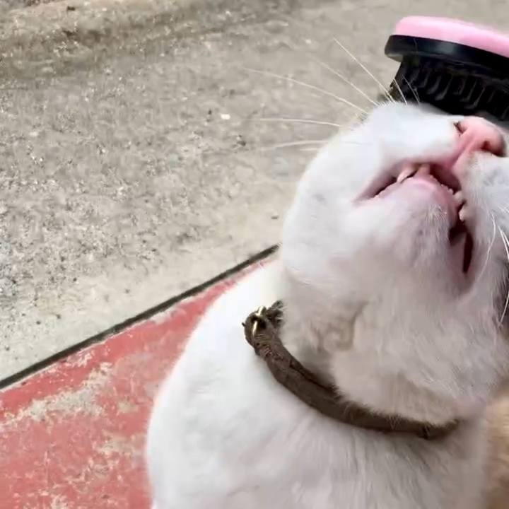 7ecada5f 3a40 4e22 851a 201e46b09ea6 1739670003302