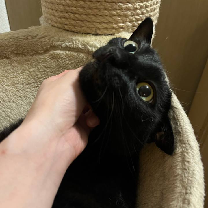 7ecaf540 b245 40b2 bfb1 3a1bb3aa8d84 1750437118293