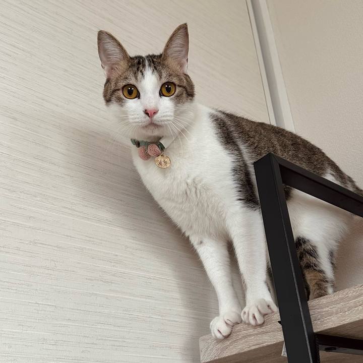 7ecafb26 5a89 418d b8a3 d18b0d2b1023 1769830003175