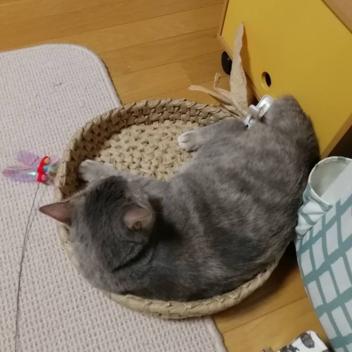 7ecb2657 a5ff 4930 933d ac9da53fdb95 1527511289556