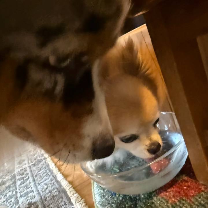 7ecb2673 1c55 402d aabf a8dc8d35bd36 1752277314101