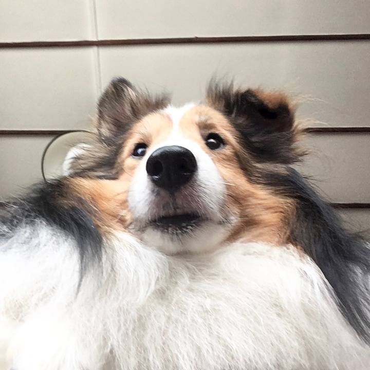 7ecb7240 38ae 43d3 8e94 62cb97802da0 1580209933829