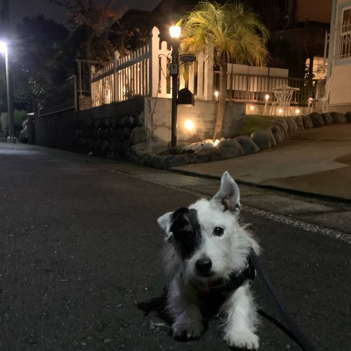 7ecb8f3e 0833 4a72 923d f6087598d4ce 1731673677077