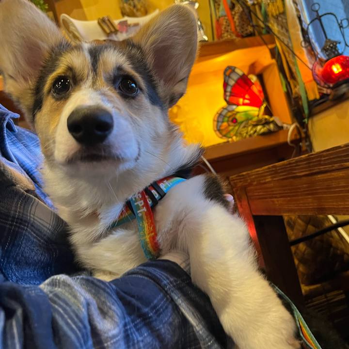 7ecbafd5 3de7 43c4 90ea b6e4959e1c98 1774686680496