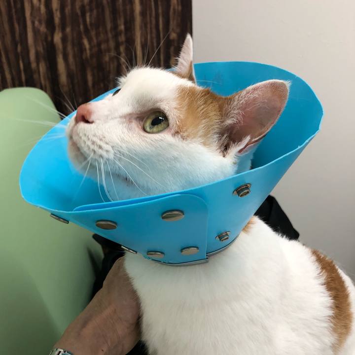 7ecbd3a2 df11 4ea2 927b d4a2e7395598 1624666739667