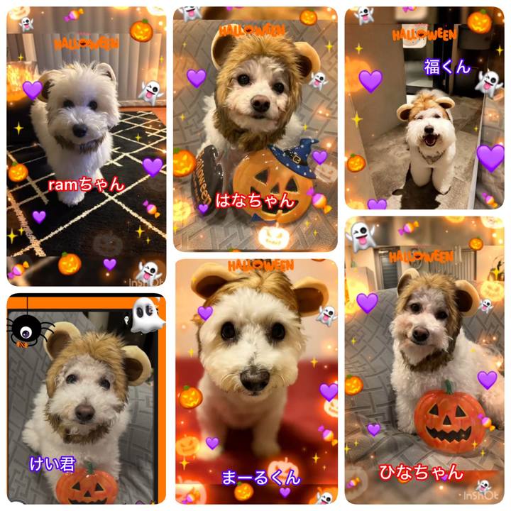 7ecbded3 0dbc 499a aae2 6bfcf125acb6 1761862188658