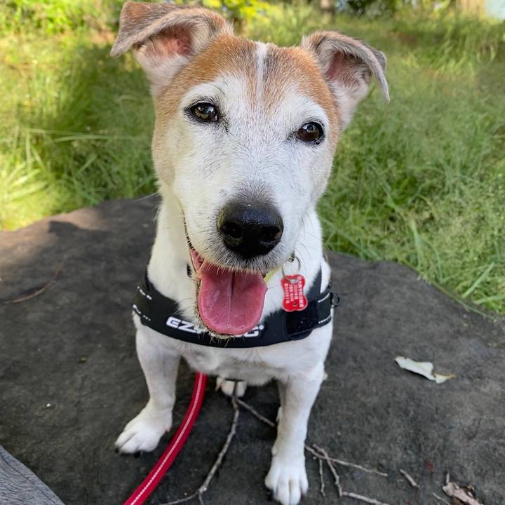 7ecbf7a3 6f21 4e12 ab5c acfb8b294131 1601168971341