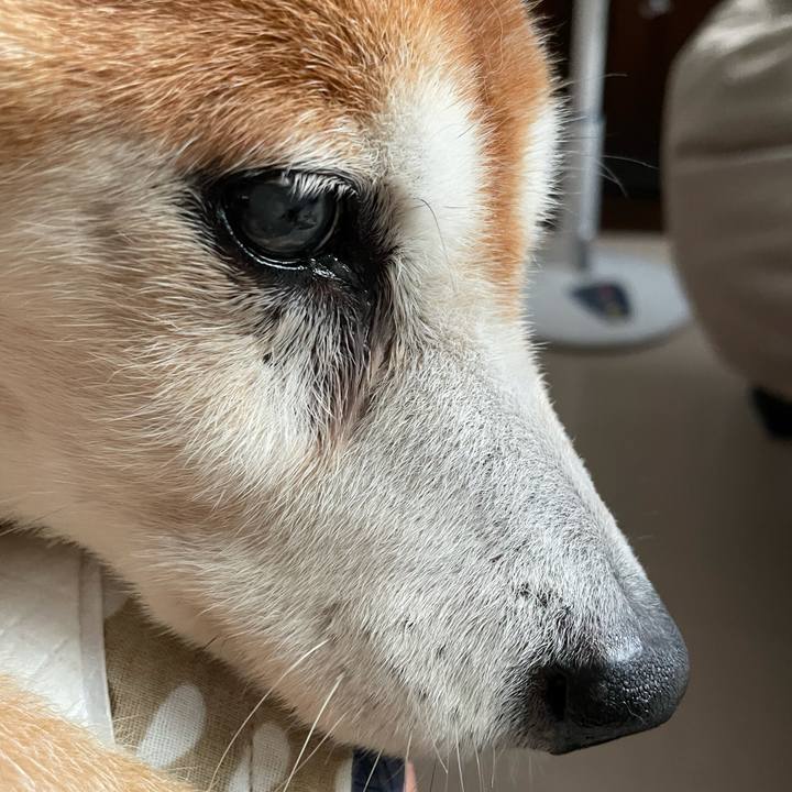 7ecc1489 9cb8 488d b45c 6fb56b9b9e4d 1629853209693