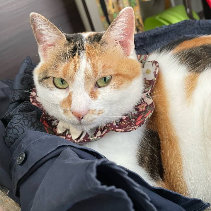 7ecc3e46 5888 4ff0 94e8 77e04e598a6d 1753597592188