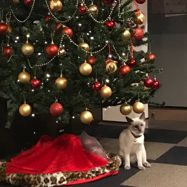 7ecc5661 3274 4b39 830c 78ad5482fd61 1577114874030