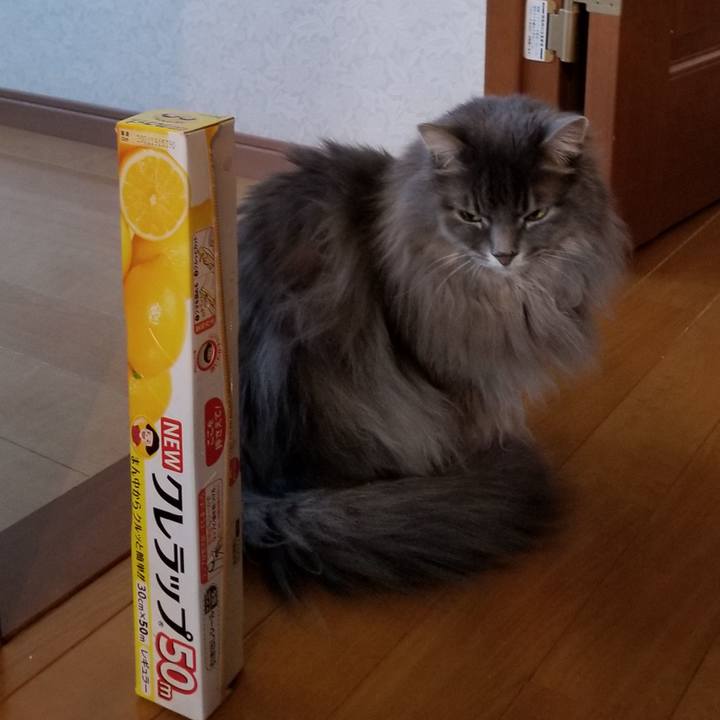 7ecc5869 17f7 4319 a239 3a50eb4ee6c0 1585004173872