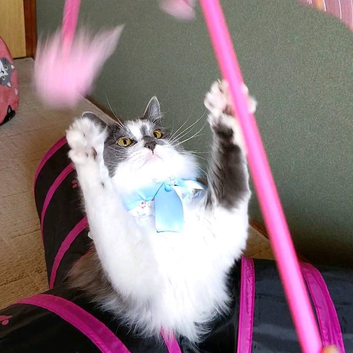 7eccb3a8 3258 4b26 a3ef 70f45340d917 1584679206492