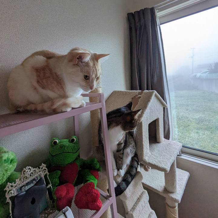 7ecd0441 64ea 4b47 b022 d628f71e123a 1698269386369