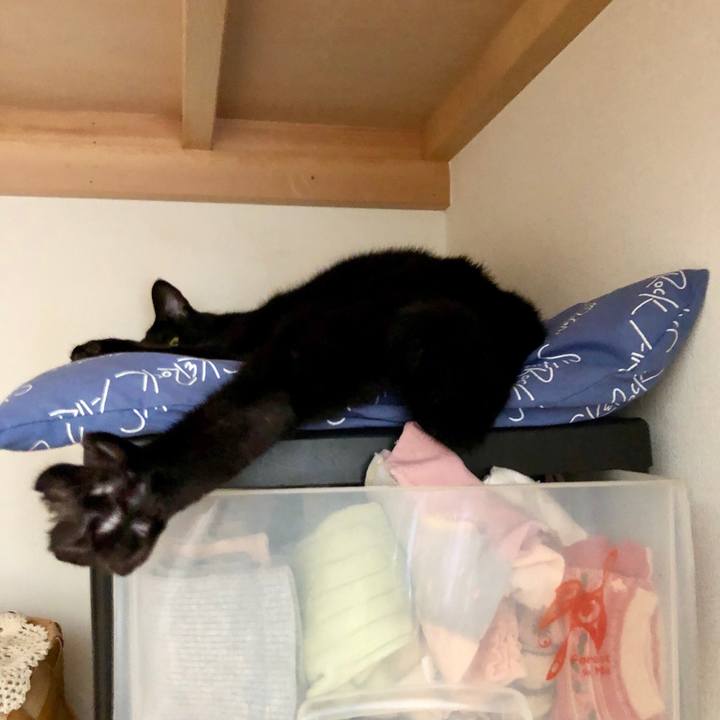 7ecd2243 0695 48c5 b3e9 17cbdf8d39a6 1538280873445