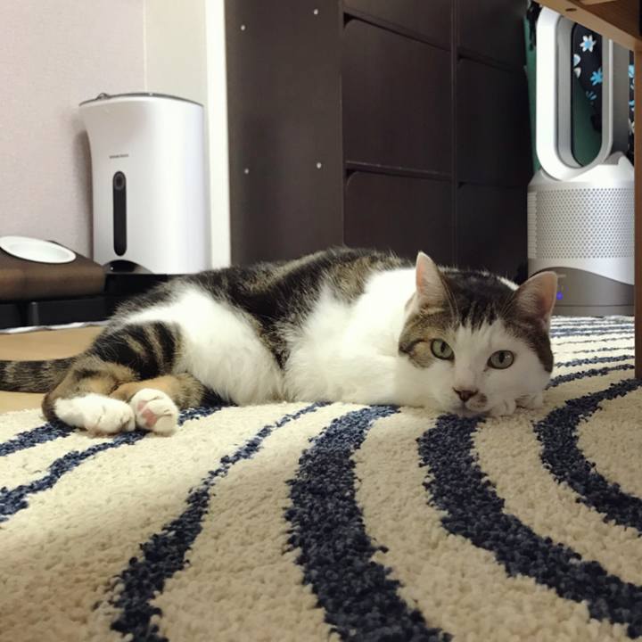 7ecd2896 dacb 4cd9 80c7 74ec5eb1fa85 1569813957431