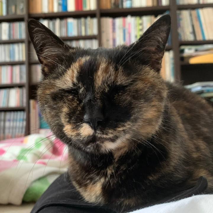 7ecd32ce 7090 43c3 bdaa b5673a633ee9 1625104931503