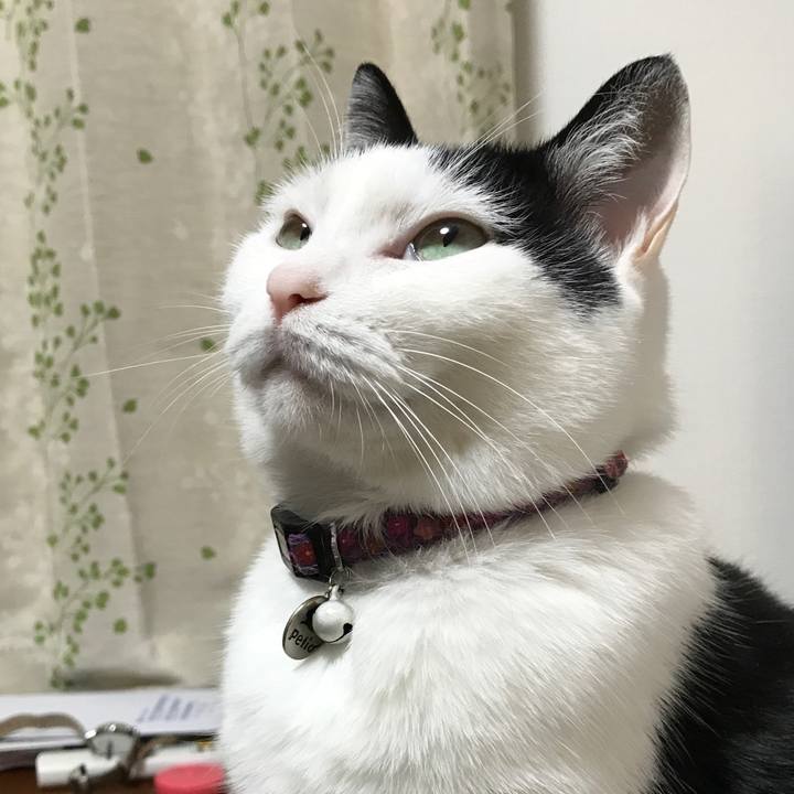 7ecd35b7 398f 48f3 9859 958fc18c610a 1512650933828