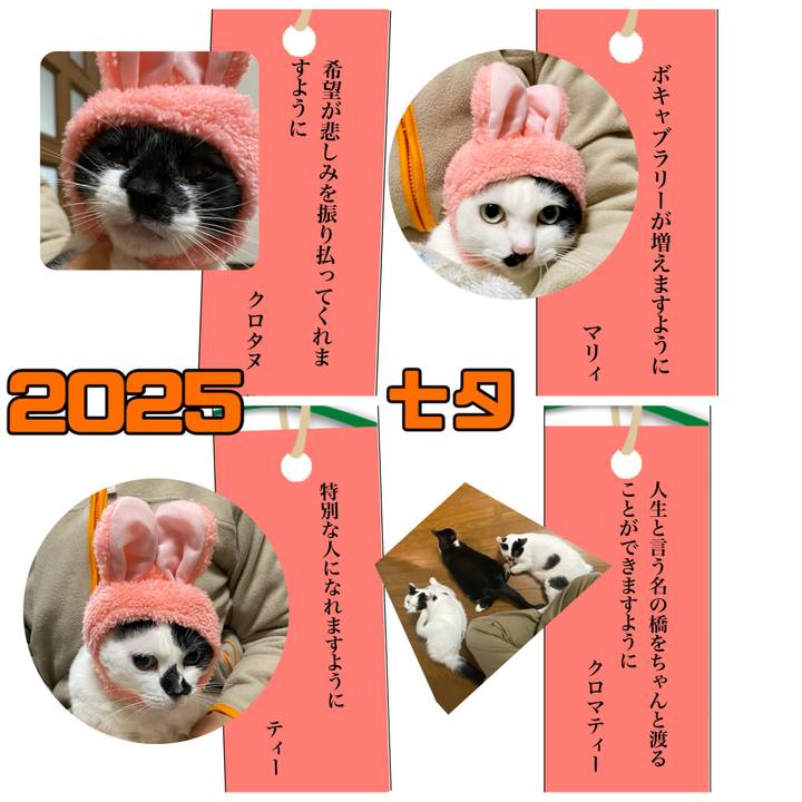 7ecda4fa e3d2 4852 a119 c020e2872e97 1751815891812