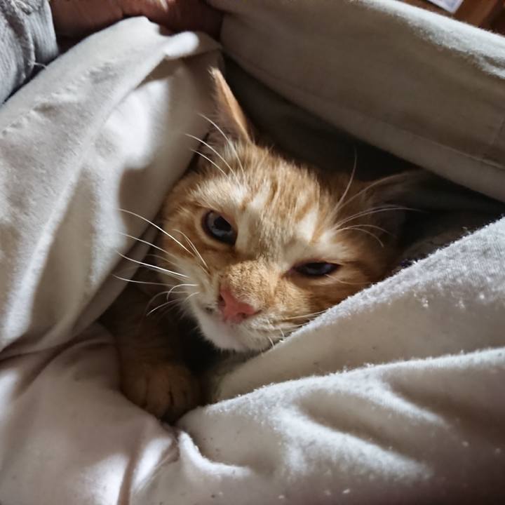 7ecda64b 5c29 49e7 8f76 94d330943684 1636402823616