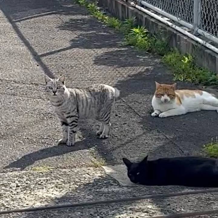 7ecda847 34c1 4bba ade4 49c632638a33 1745236524421