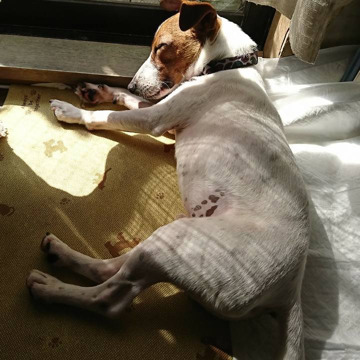 7ecdaab5 3450 4141 8fbb 13897045e384 1531525599425