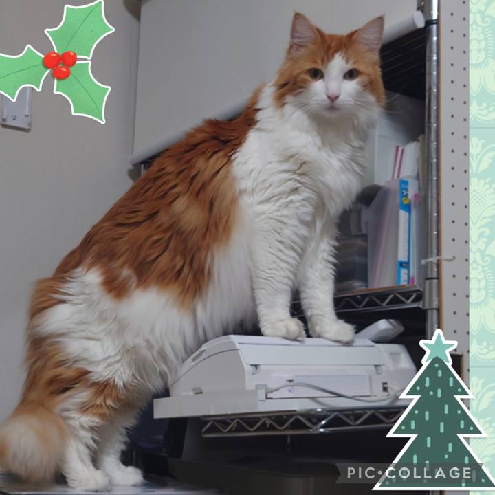 7ecdd10e 4bb4 42e3 9630 b757c956f2e8 1640318995307