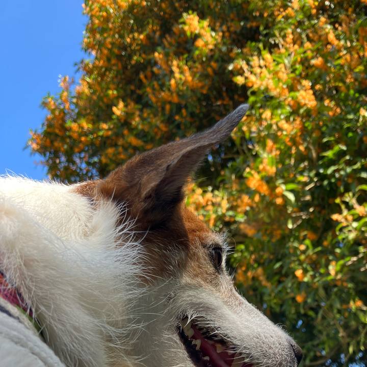 7ecdfdb9 389e 44f2 a9a2 eae1503c52b0 1664839456266