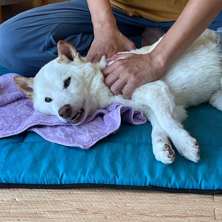 7ece7aac d7cb 4892 af38 18da0096190e 1662376585749