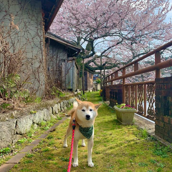 7eced9dd 406f 47ef b623 1369089c392e 1679914688742